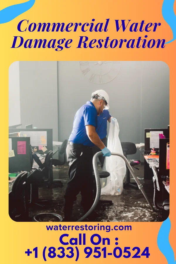 Commercial Water Damage Restoration in Tecolote, NM