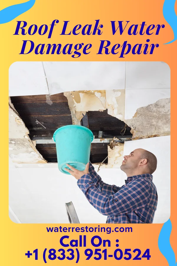 Roof Leak Water Damage Repair in Tecolote, NM